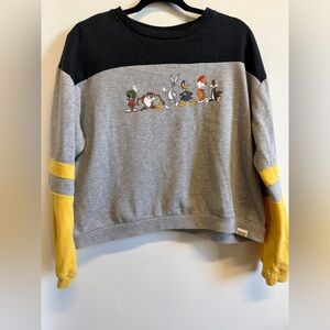 Warner Bros. Looney Tunes Black gray Colorblock Sweatshirt Size XL Cropped